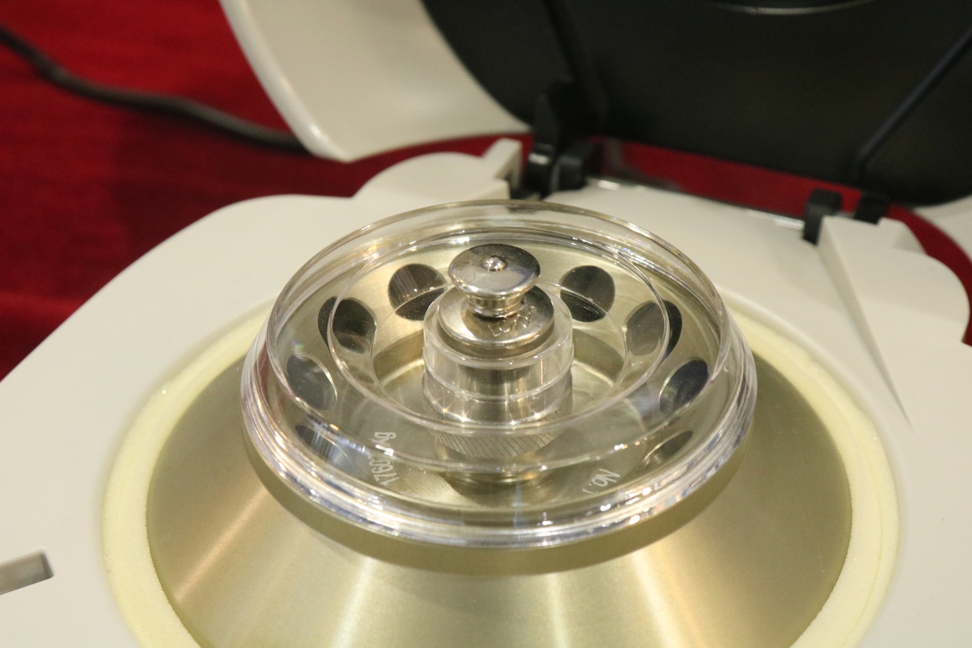 尊龙凯时【官方网站】人生就是搏!