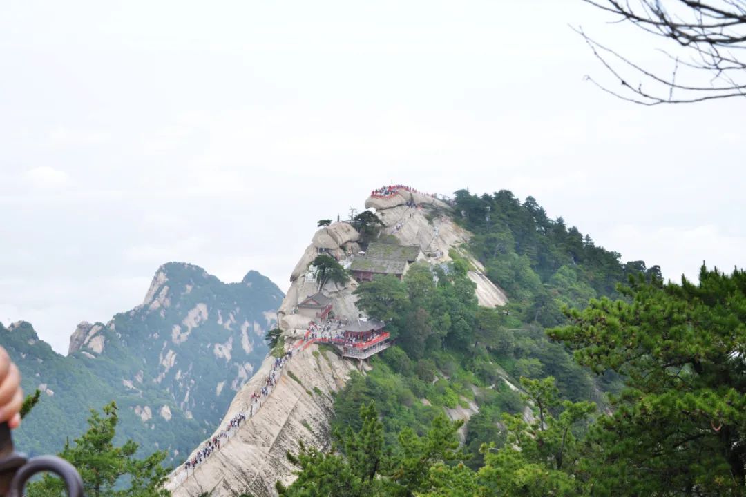 尊龙凯时【官方网站】人生就是搏!