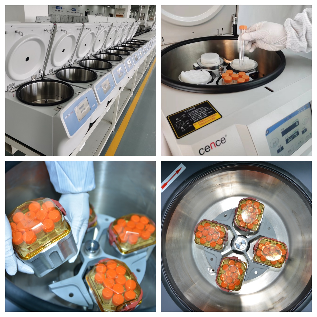 尊龙凯时【官方网站】人生就是搏!